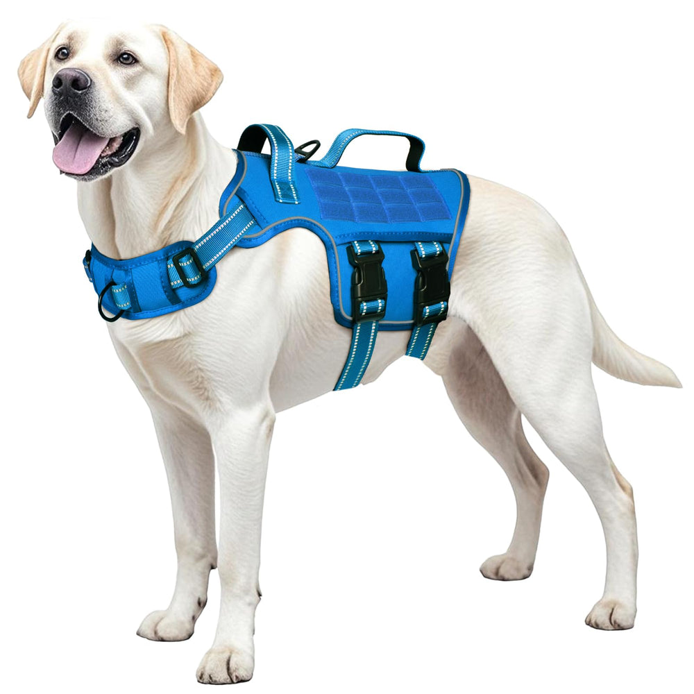 RunFido arnés cinta reflectante nocturna: seguridad adicional en media luz.