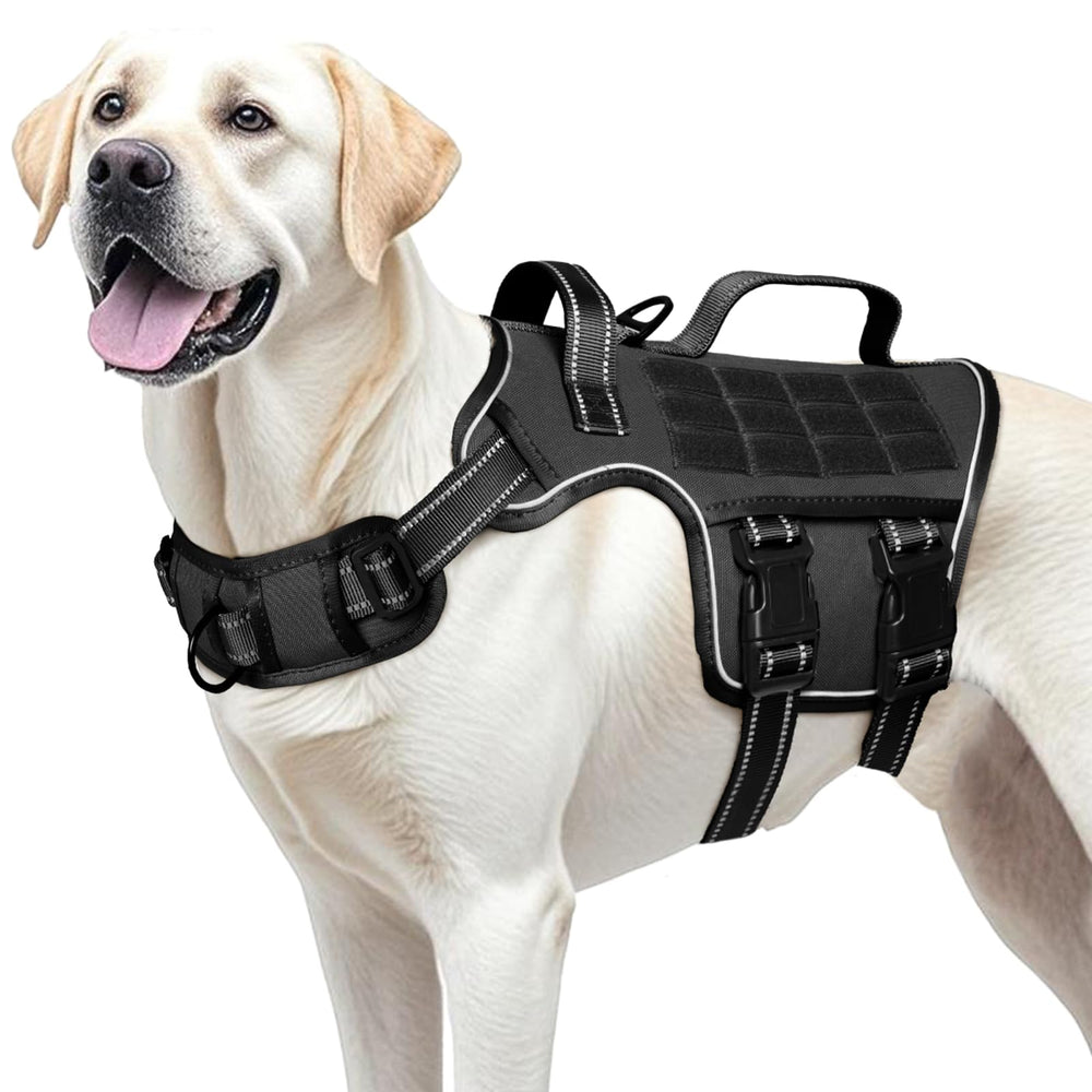 RunFido correa-frente sin tirones para entrenamiento y control eficaz.