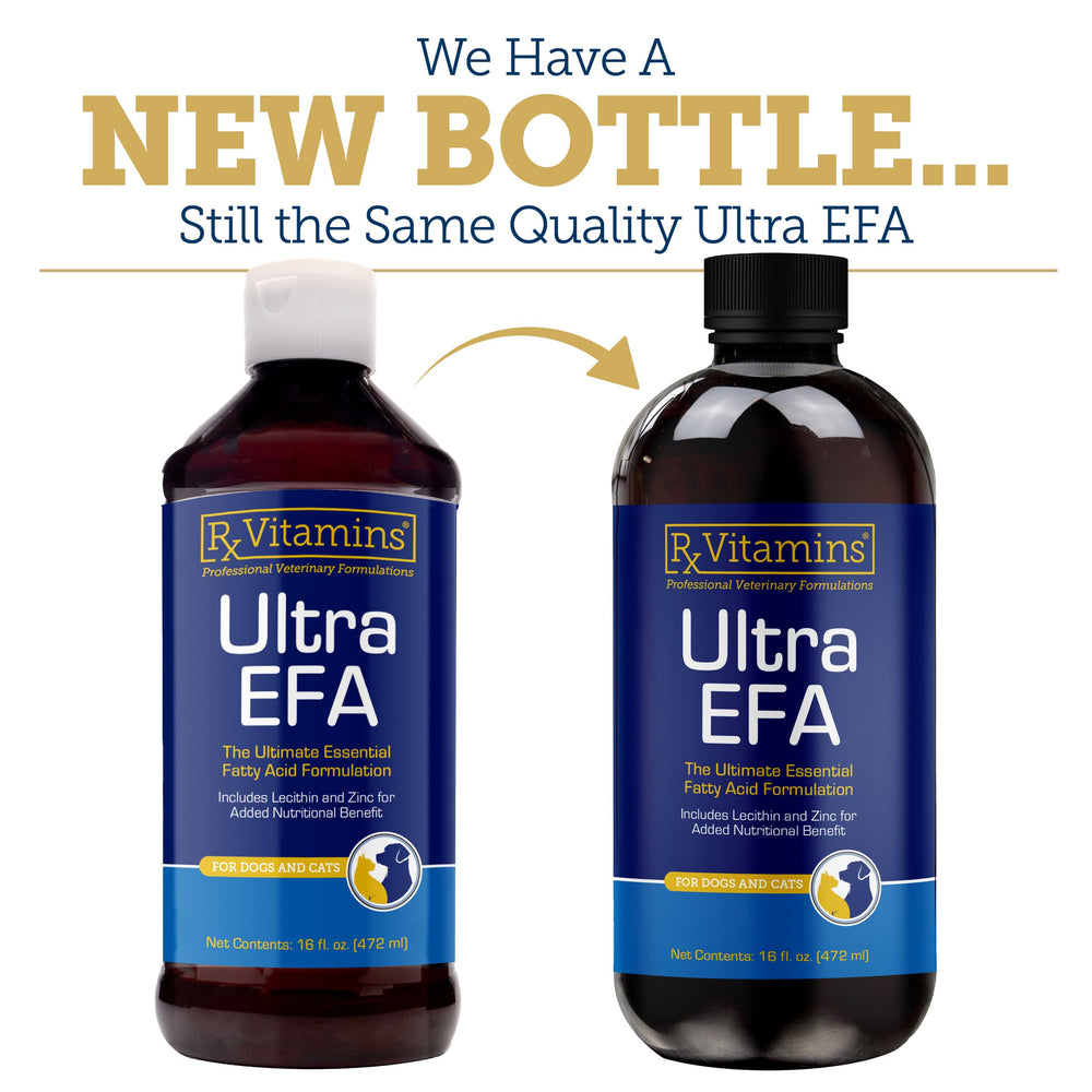 Rx Vitamins Ultra EFA Omega-3 antioxidante de romero para conservar nutrientes.