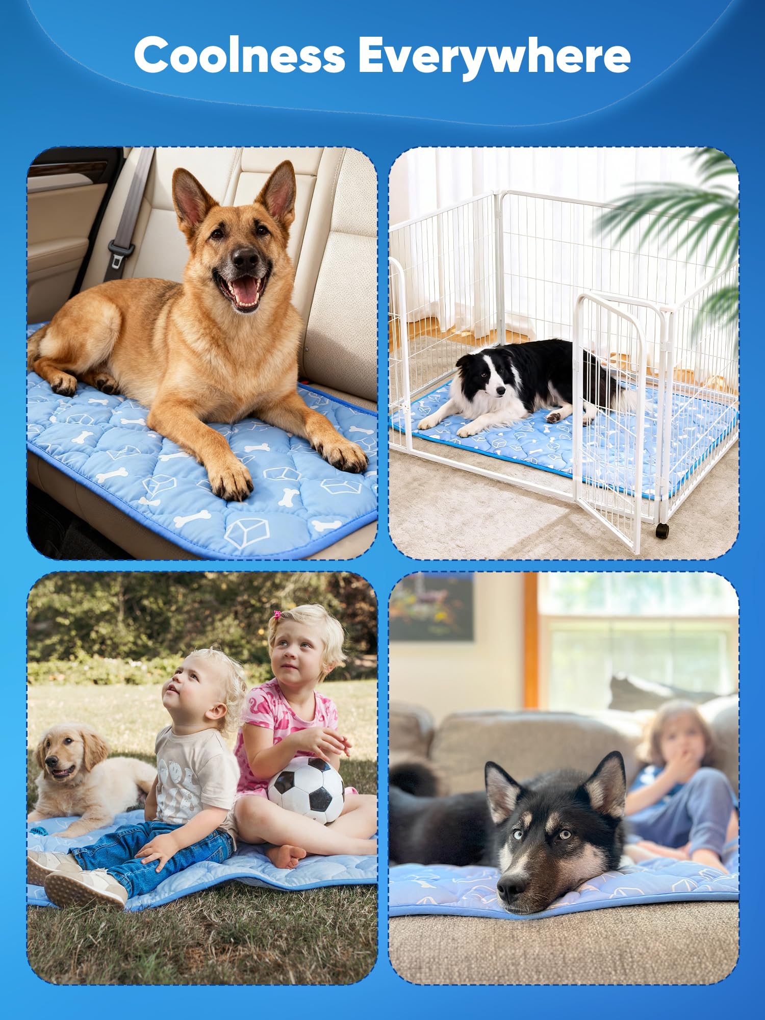 Rywell para razas grandes y hogares con varias mascotas, espacio cómodo