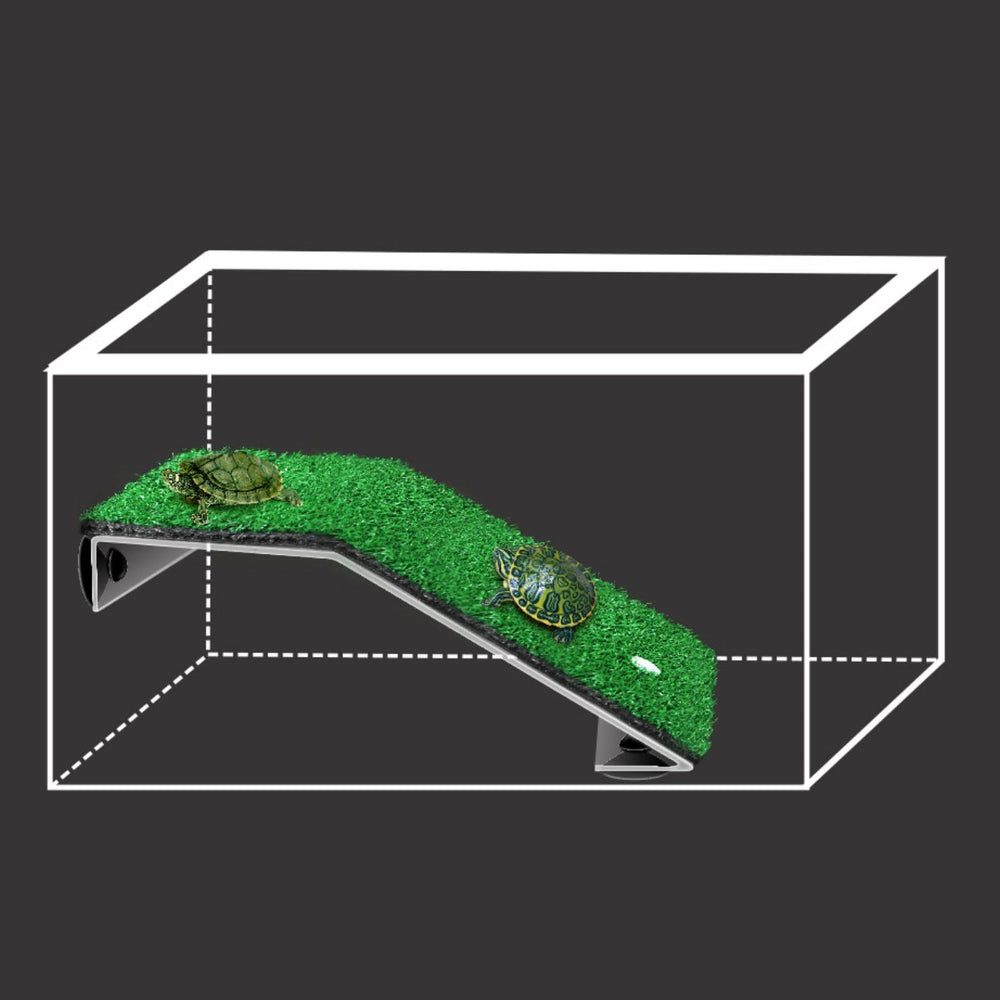 Tamaño grande para tortugas, 17 pulgadas, ideal para acuarios espaciosos.