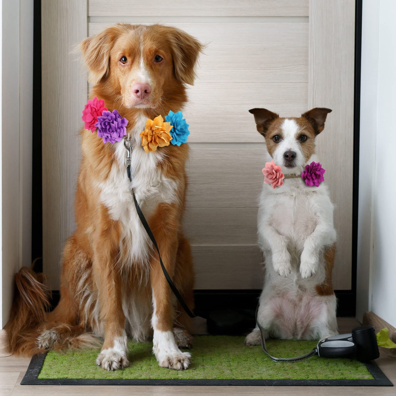 Saintrygo accesorios florales para perros y gatos, fáciles de poner.