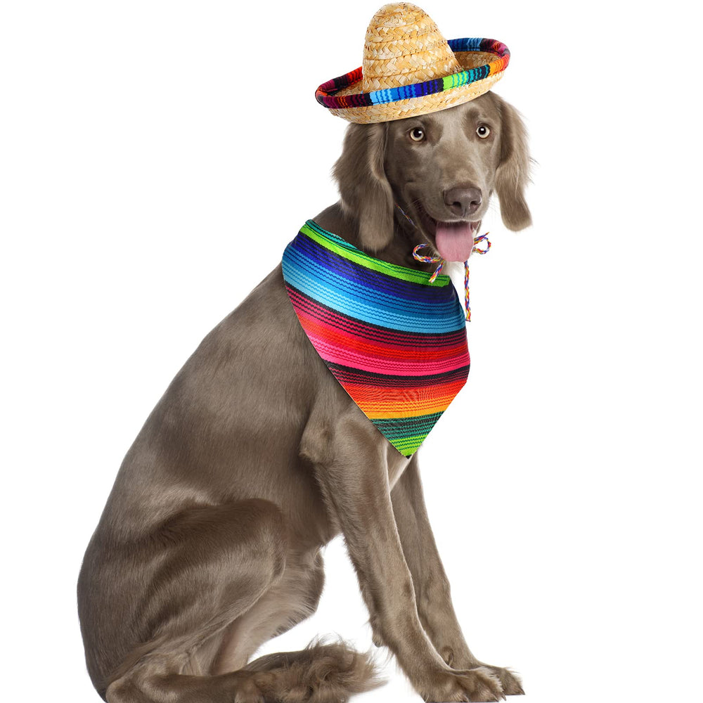 Escena festiva Saintrygo: perro con sombrero para Cinco de Mayo.