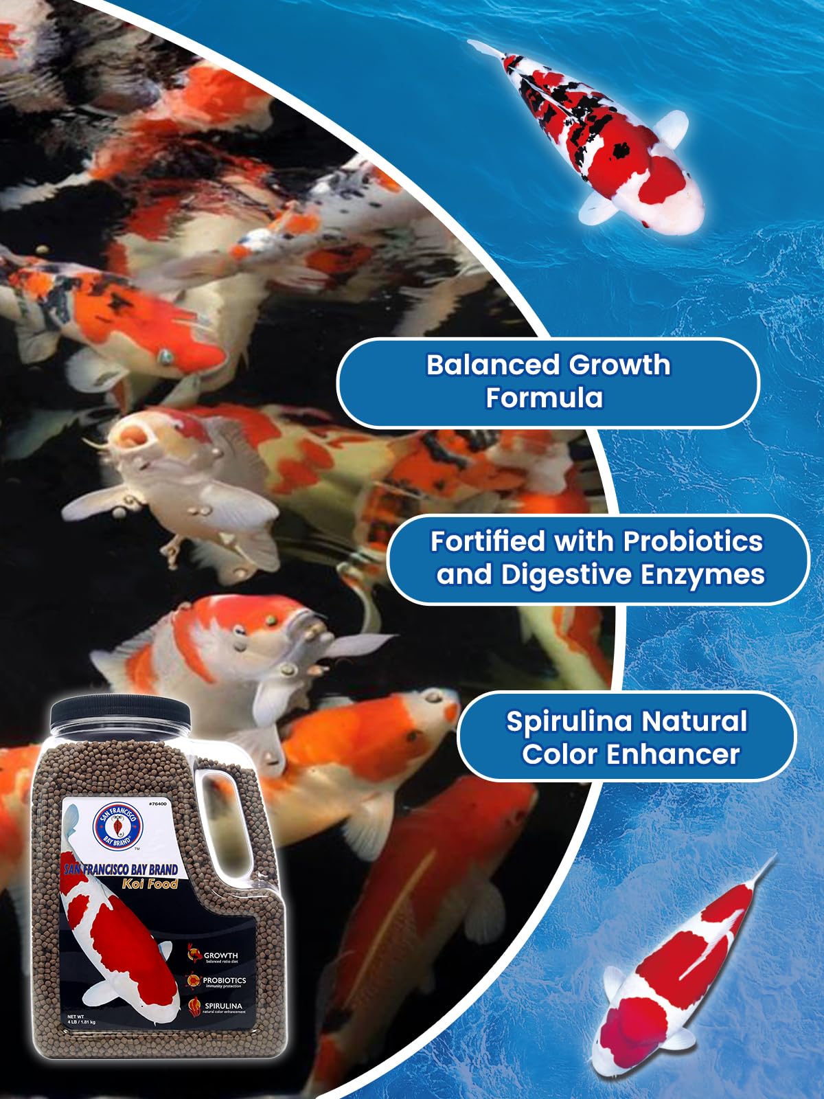 San Francisco Bay Brand Koi con dieta diaria completa y vitaminas esenciales.