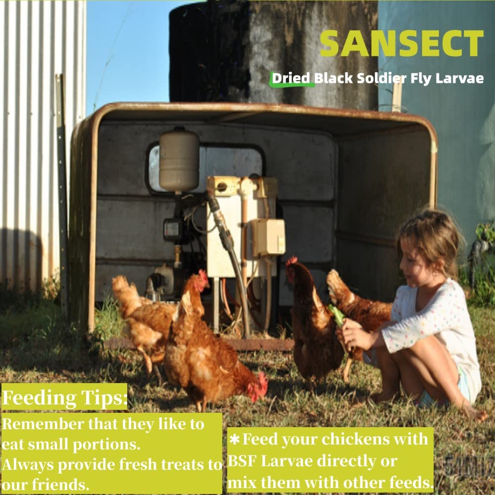 SANSECT uso para aves silvestres; atractivo para aves al aire libre