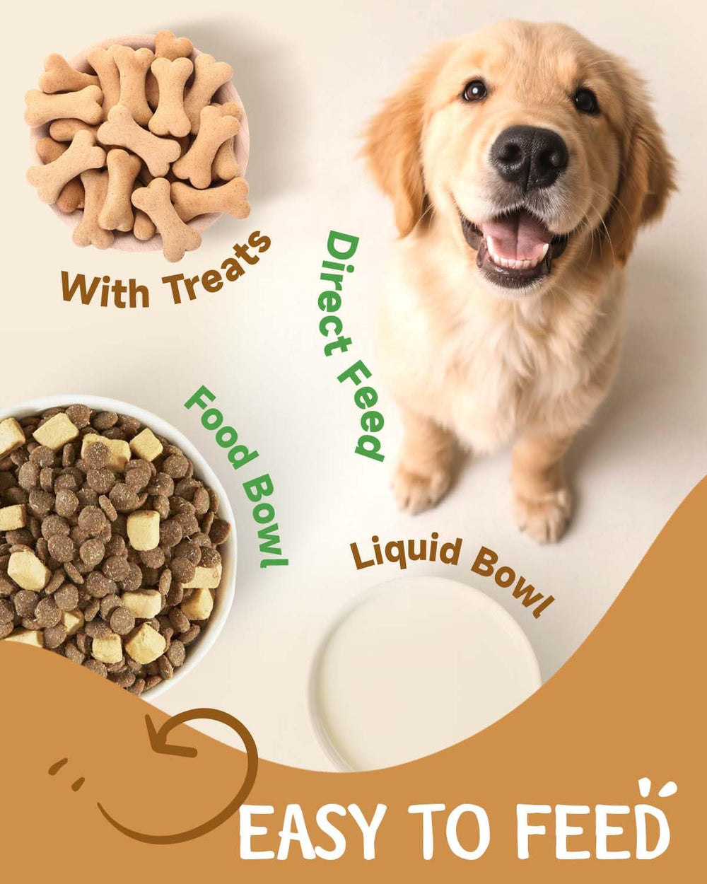 Santkol cordyceps para perros, energía y vitalidad diaria.