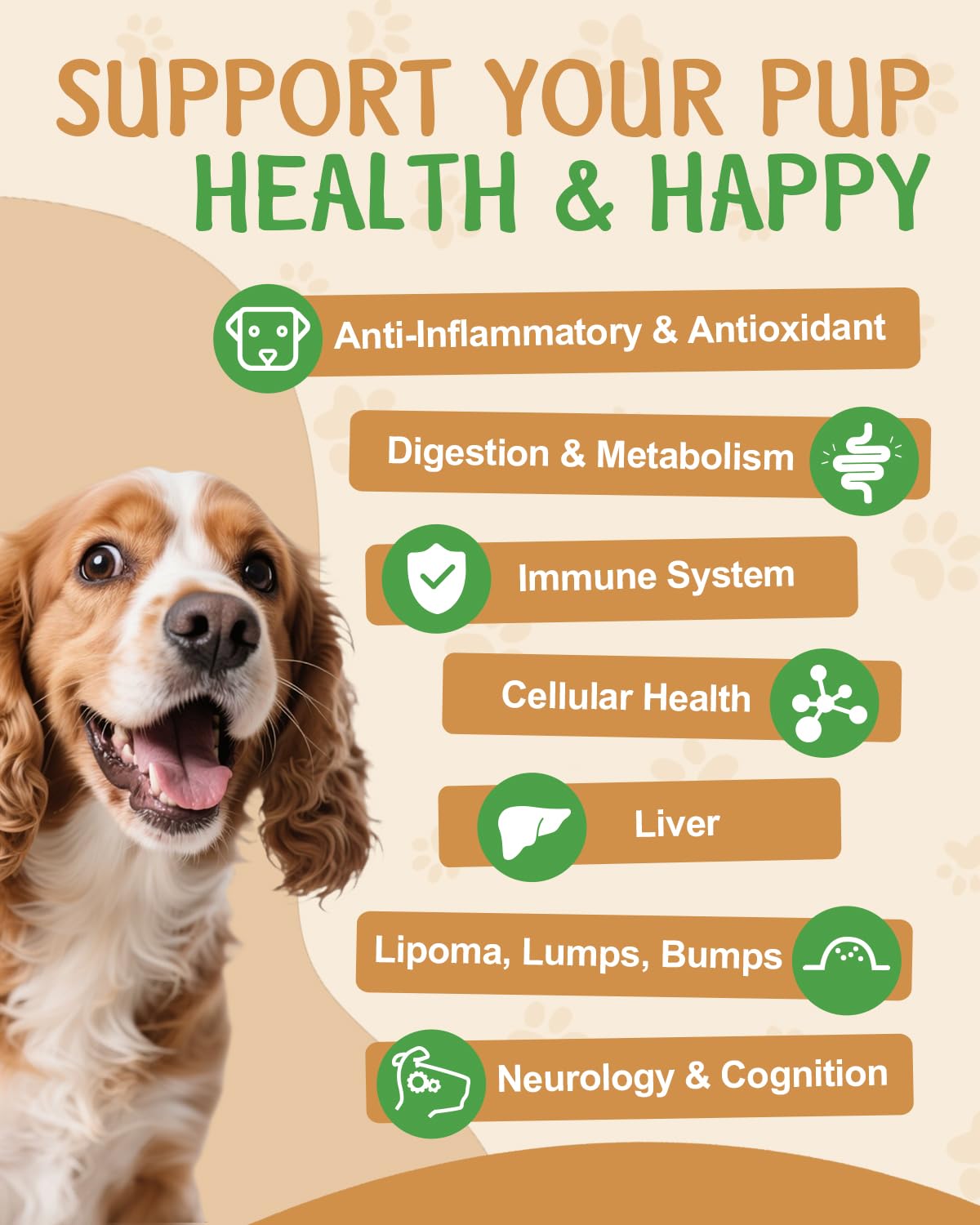 Santkol melena de león para perros, apoyo cognitivo potencial.