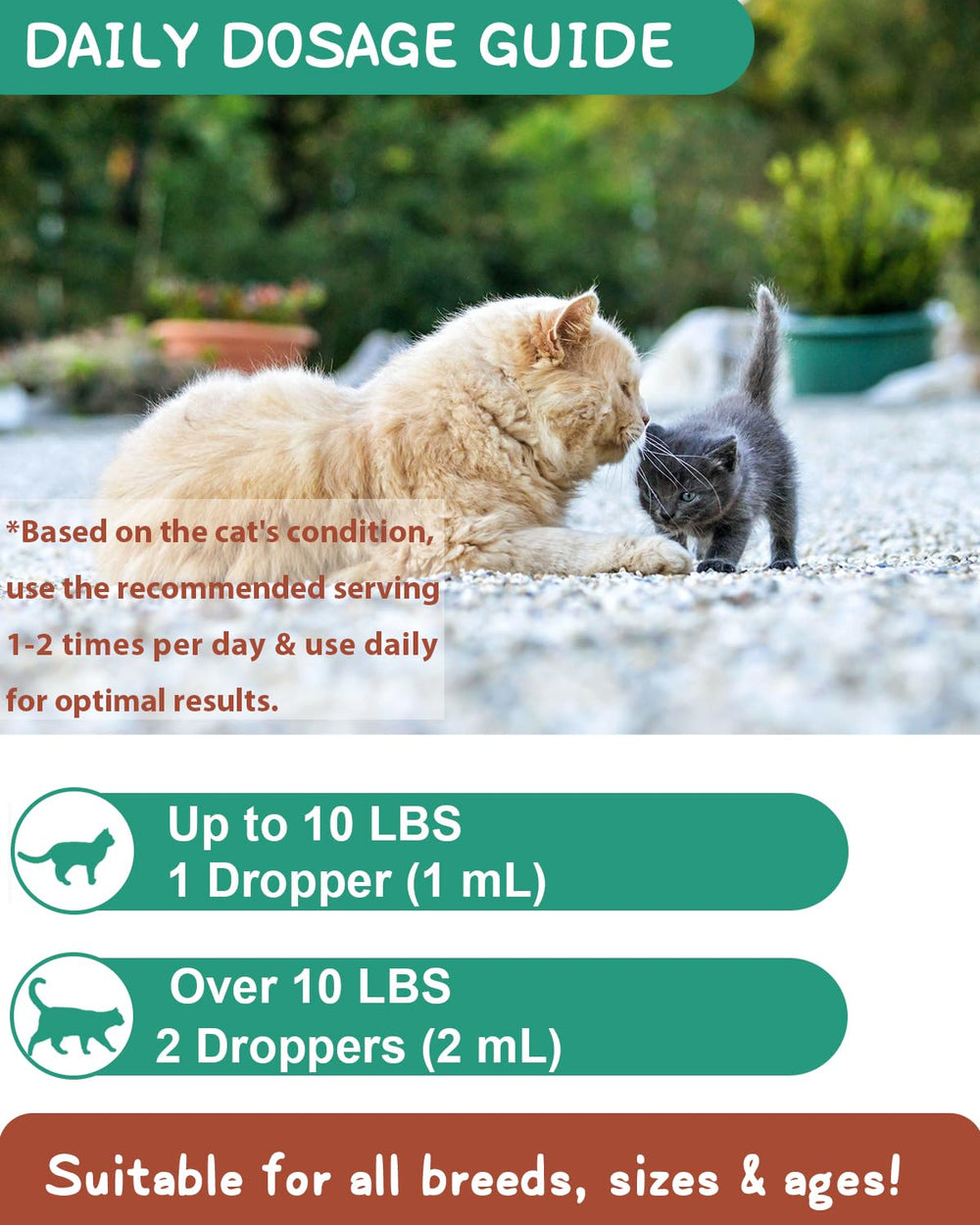 SANTKOL libre de granos, alcohol y gluten para gatos sensibles