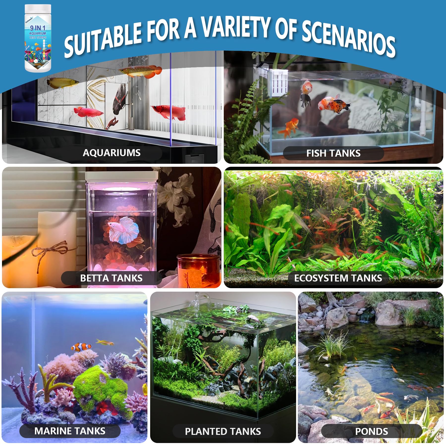 SaySummer tiras nitrato nitrito: monitoreo clave para equilibrio del acuario