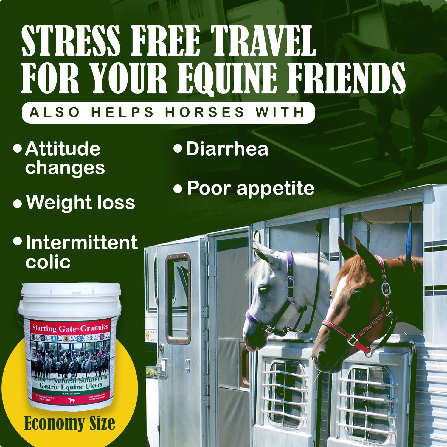 Apetito y bienestar general en caballos con Starting Gate Granules.