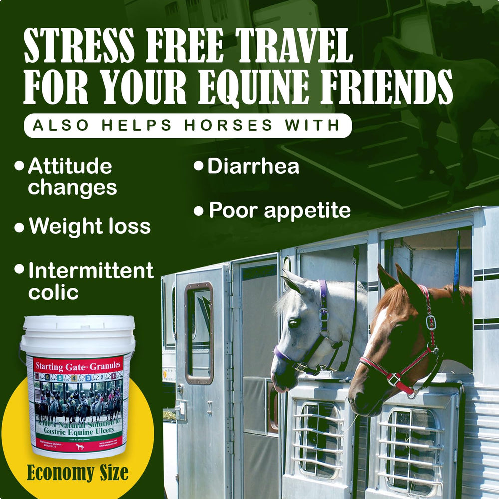 Apetito y bienestar general en caballos con Starting Gate Granules.