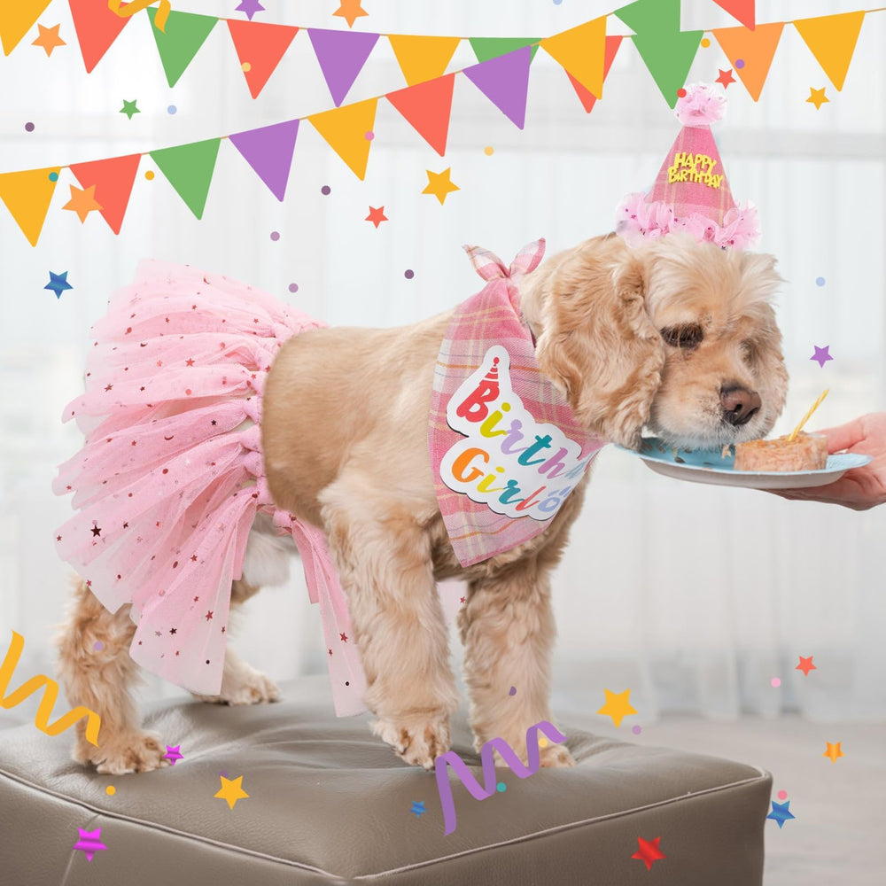 SCENEREAL accesorios para perro, sombrero y bandana, listos para celebrar