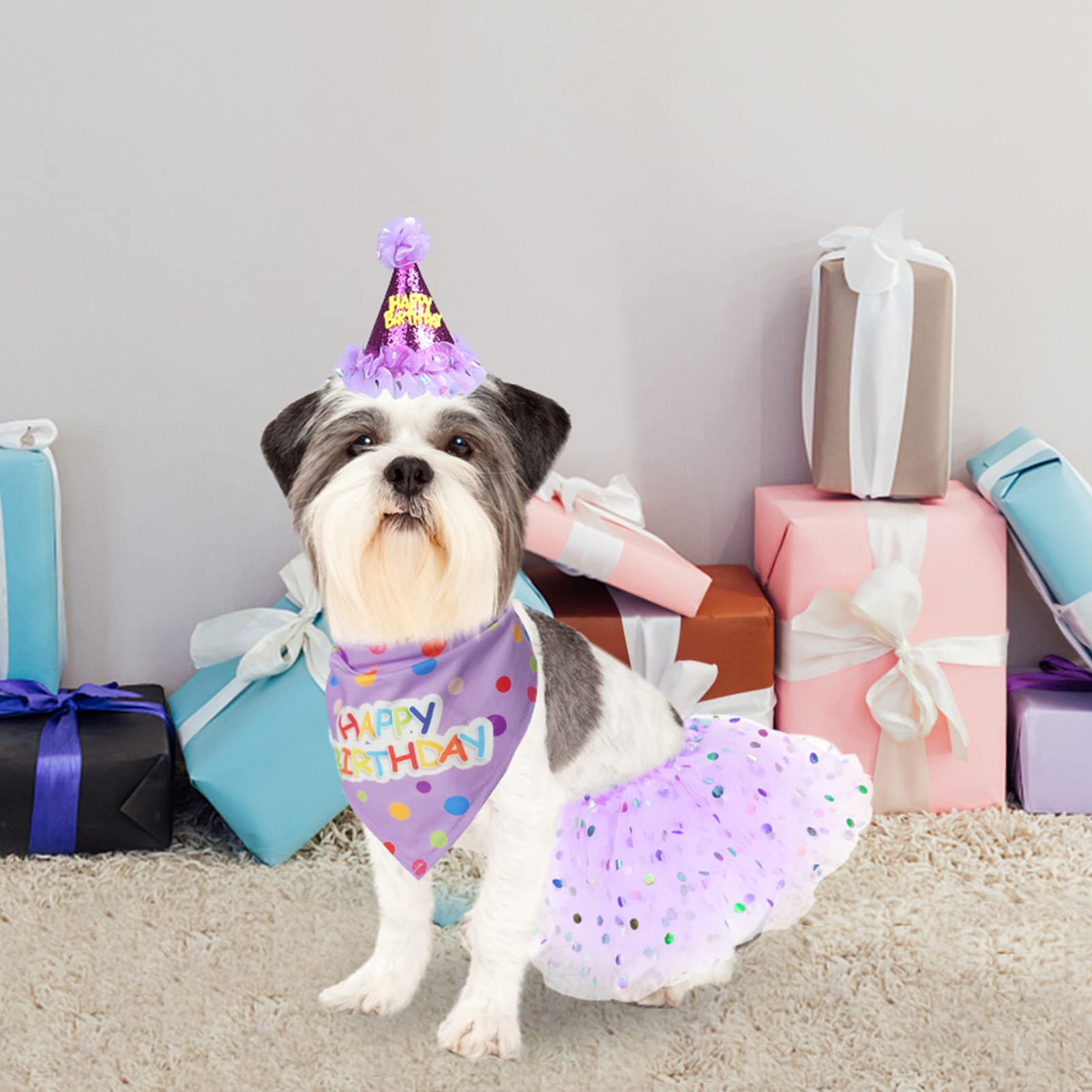 SCENEREAL ambiente de fiesta para perro, enfoque: look coordinado y festivo