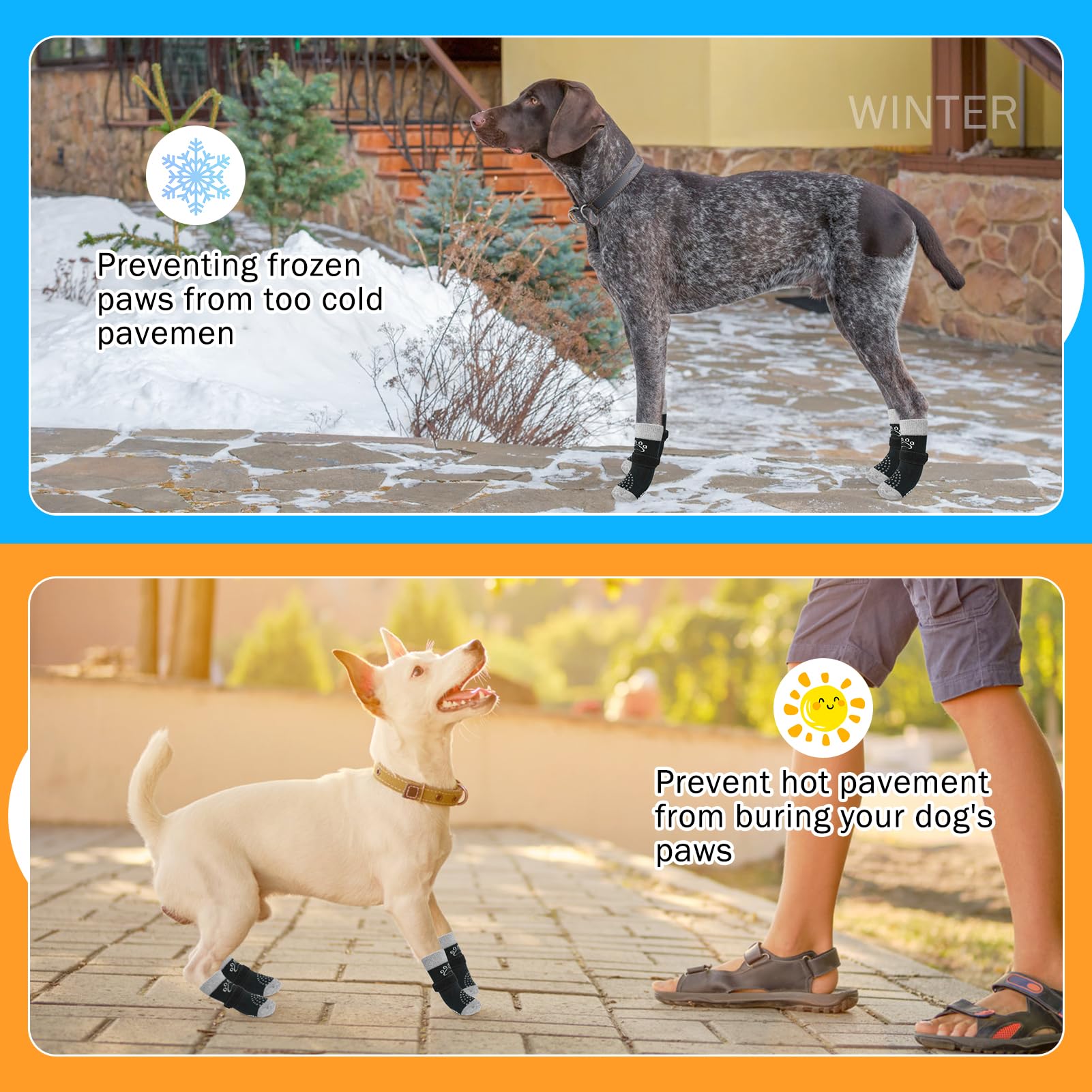 SCENEREAL calcetines anti-deslizantes para perros, ideal para suelos de madera