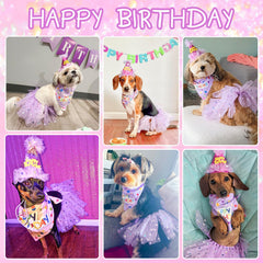 SCENEREAL sombrero de cumpleaños para perro, enfoque: ajuste seguro, perfecto para fiestas