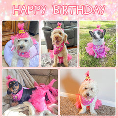 SCENEREAL sombrero de cumpleaños para perros, enfoque sombrero, mantiene la cabeza en su lugar durante la fiesta.