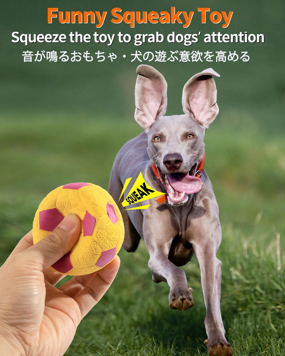 Bola SCHITEC de látex suave de 2,8 pulgadas para perros medianos