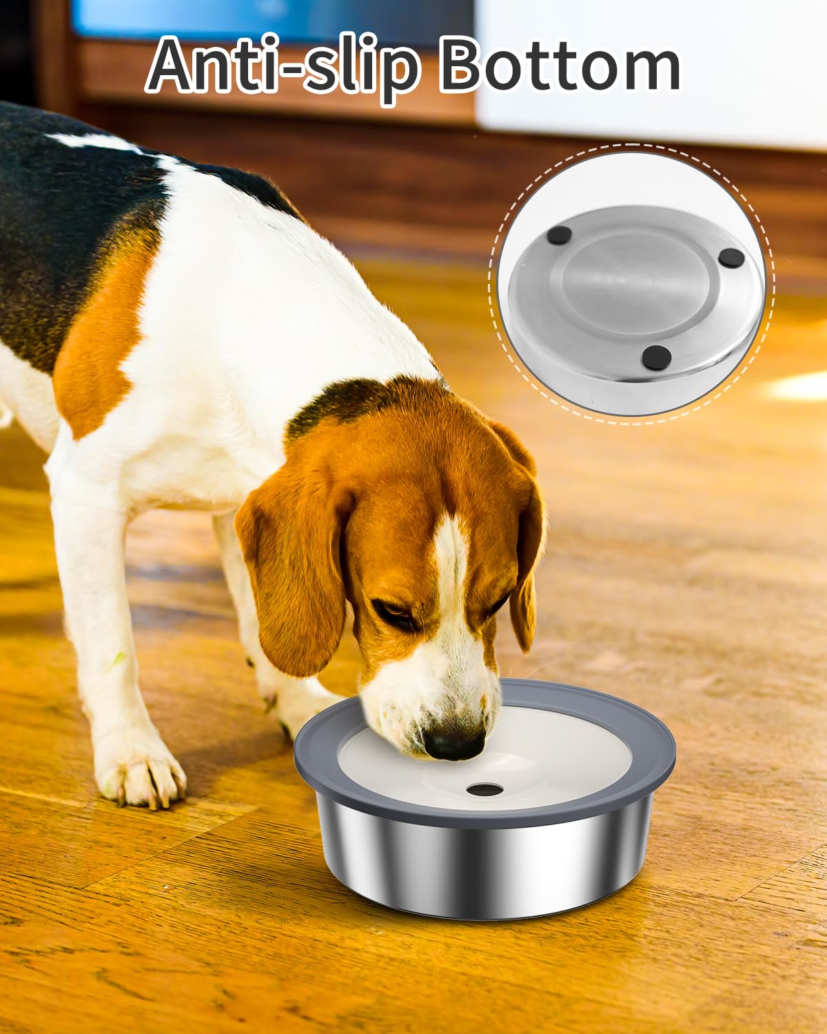 SCHITEC capacidad de 1.5L, ideal para perros pequeños.