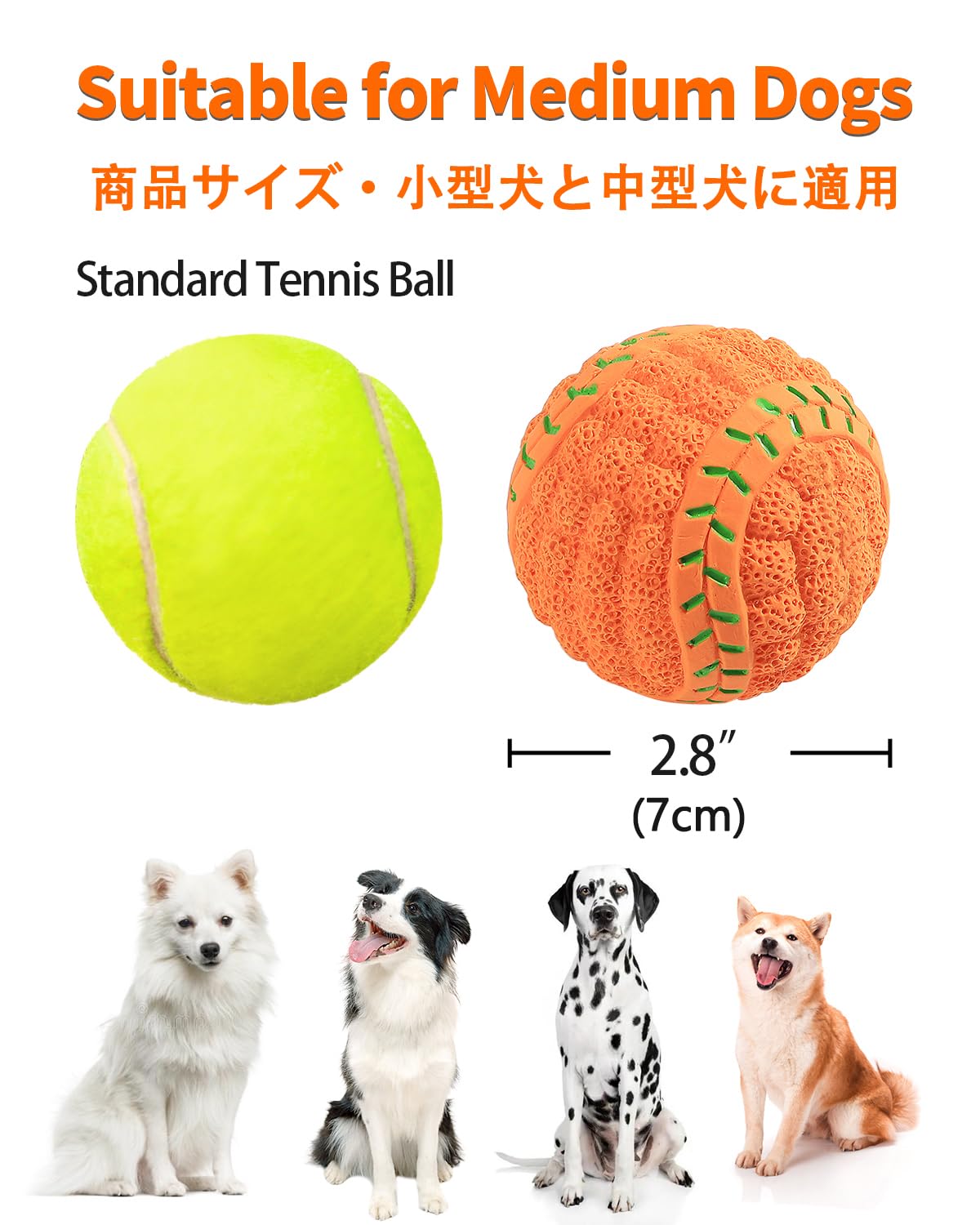 Conjunto SCHITEC de 4 bolas deportivas para perros medianos