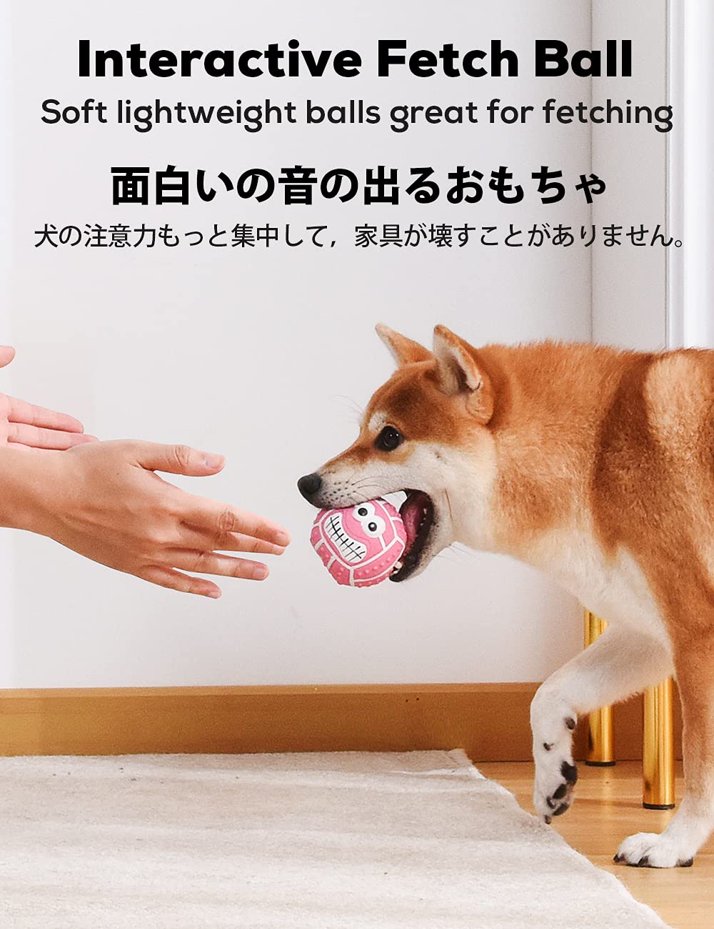 SCHITEC: pelota de fútbol americano para perro, ideal para lanzar y perseguir.