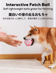 SCHITEC: pelota de fútbol americano para perro, ideal para lanzar y perseguir.
