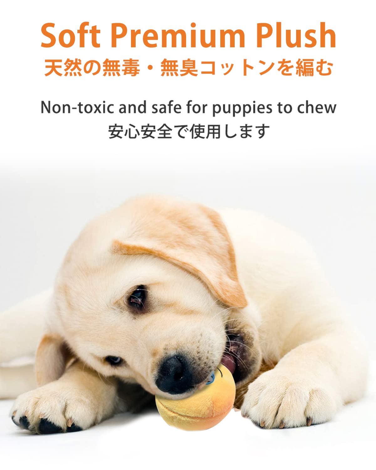 SCHITEC Peluche douce avec rembourrage PP coton, sûre pour chiots.