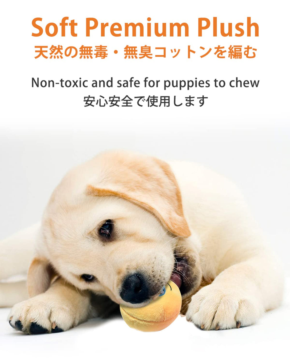 SCHITEC Peluche douce avec rembourrage PP coton, sûre pour chiots.