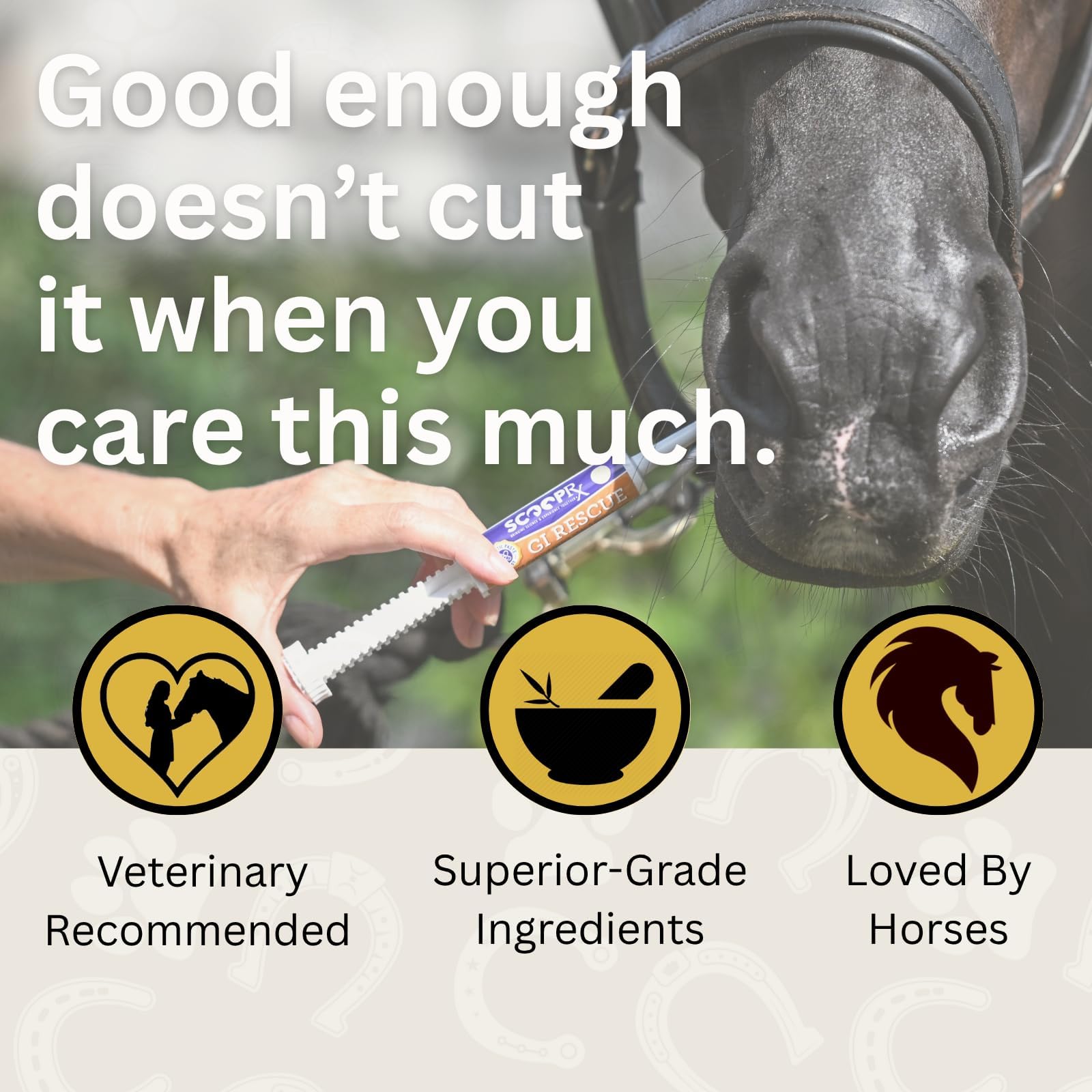 ScoopRX GI Rescue dosis para caballos mostrando aplicación práctica