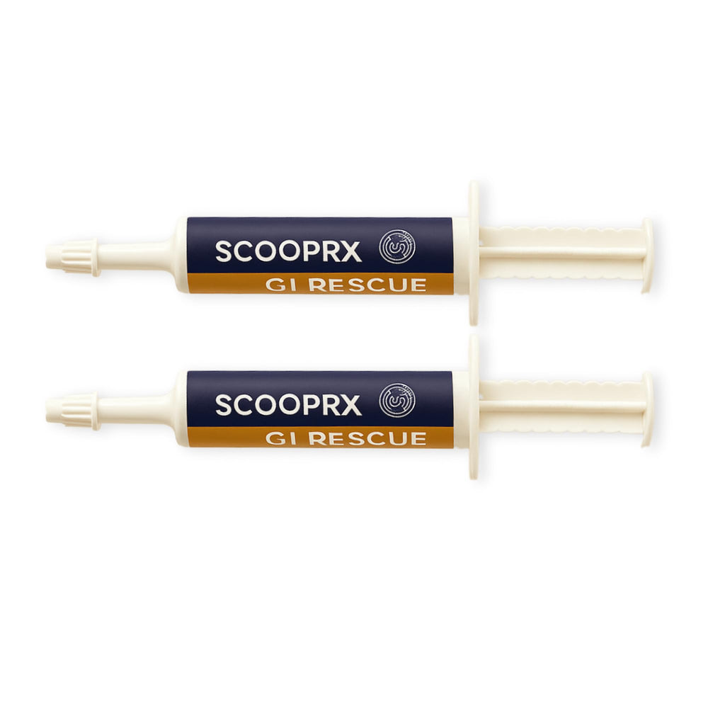 ScoopRX GI Rescue pasta digestiva para alivio rápido en caballos durante malestar estomacal