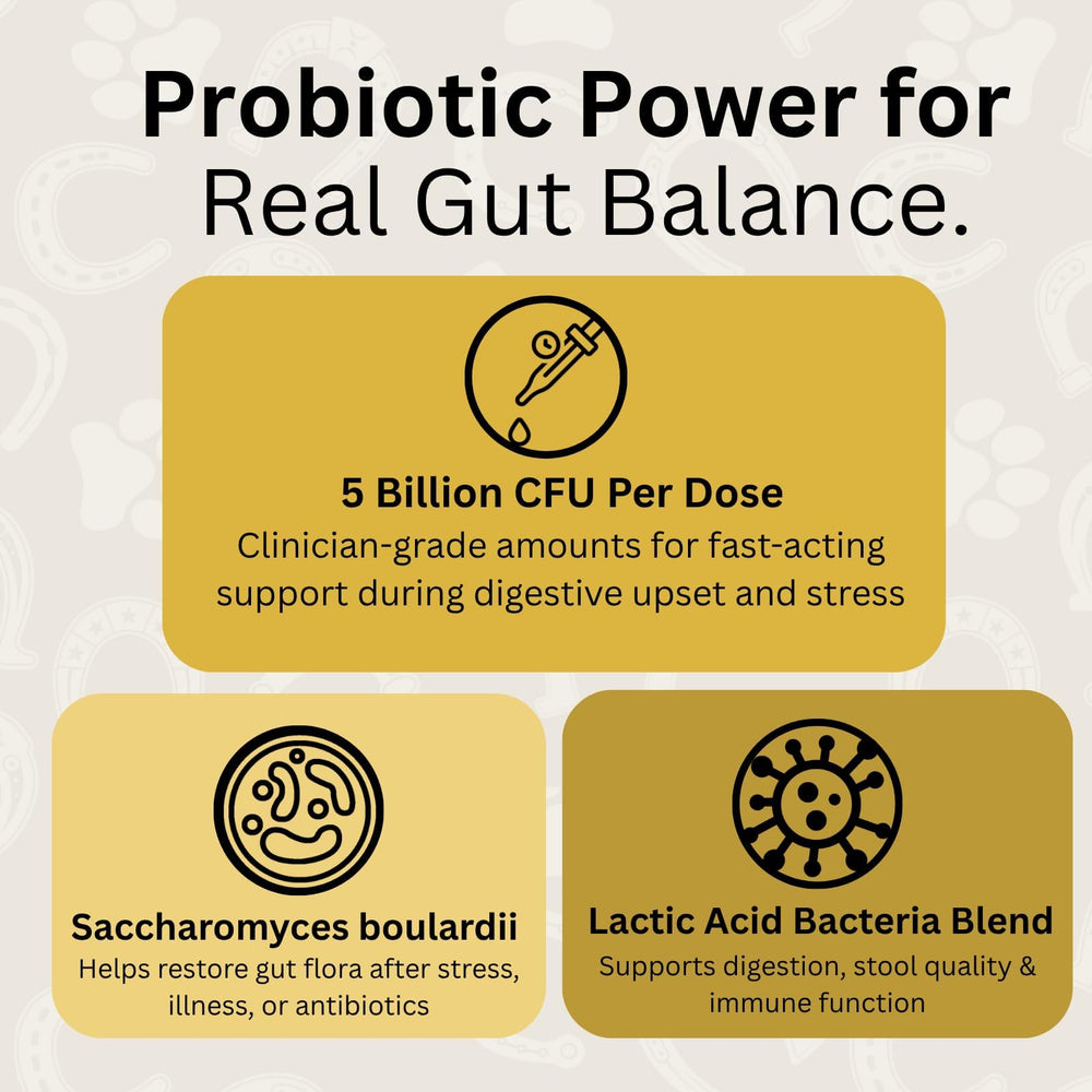 ScoopRX GI Rescue probióticos Saccharomyces boulardii para flora intestinal
