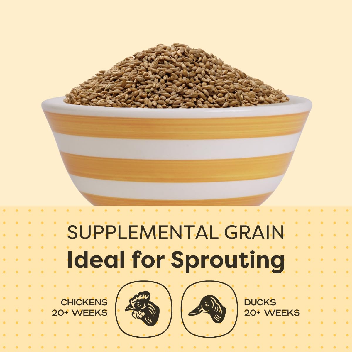 Scratch and Peck grano entero para una dieta equilibrada de aves