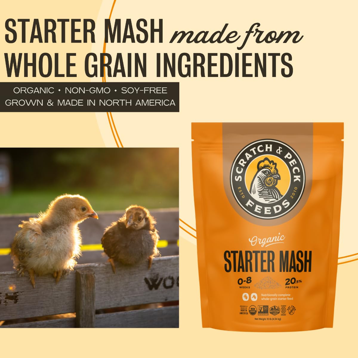 Scratch and Peck Starter Mash proteína 20.5% de granos orgánicos para desarrollo muscular.