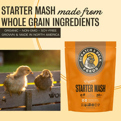 Scratch and Peck Starter Mash proteína 20.5% de granos orgánicos para desarrollo muscular.