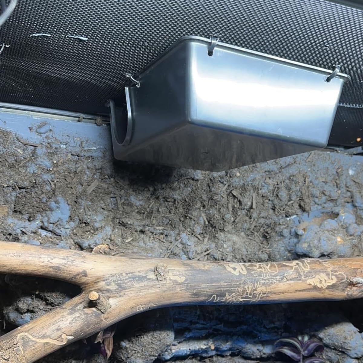 SDZGQPET Amypet interior de cueva, espacio cómodo para escondites.