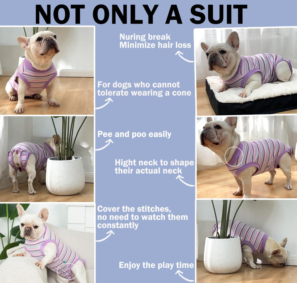 Sebidtco traje recuperación para perros cierre y velcro ajuste seguro