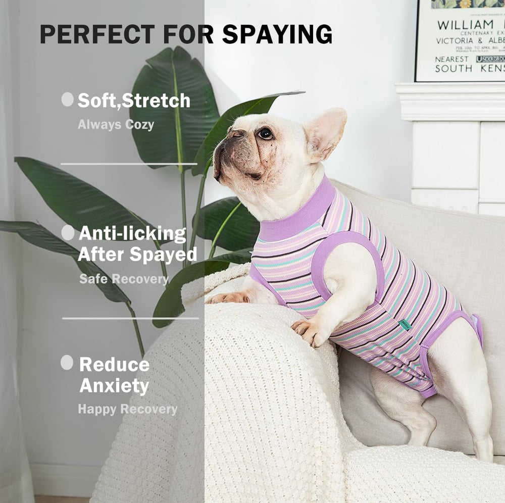 Sebidtco traje recuperación para perros espalda mantiene el área abdominal protegida