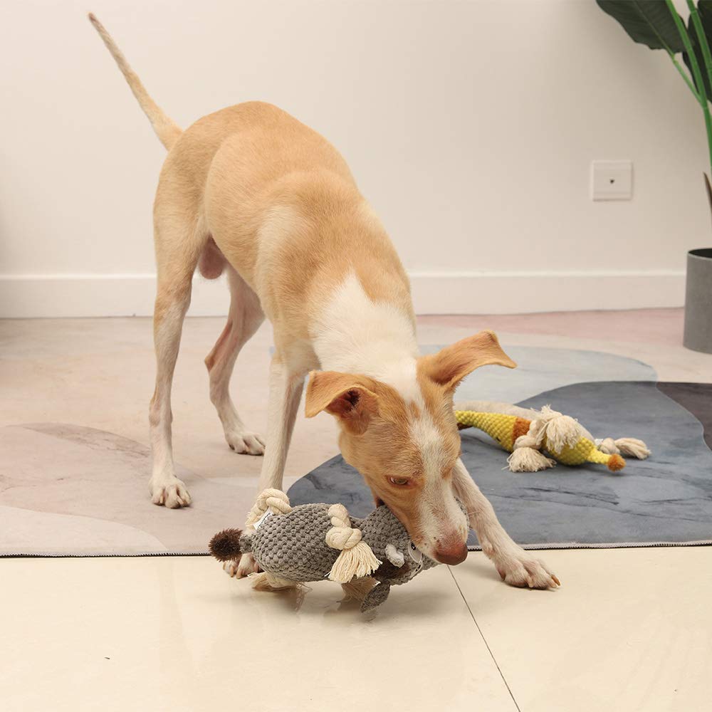 Jouet Sedioso donkey gris anti-ennui, idéal pour occuper les chiens.