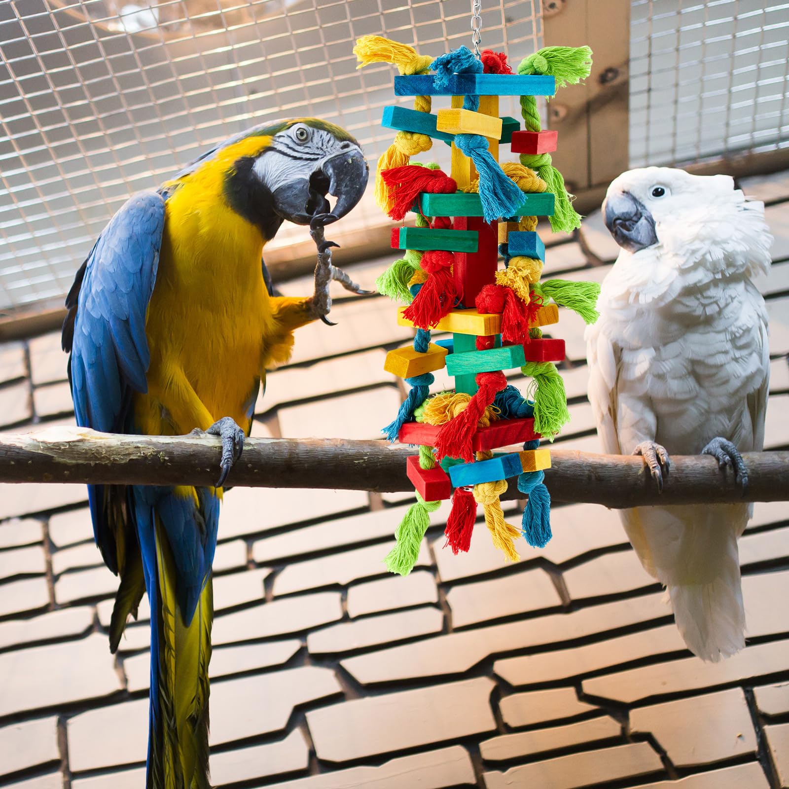 Seenelling juego multifuncional para aves coloridas, mantiene ocupada a la mascota.