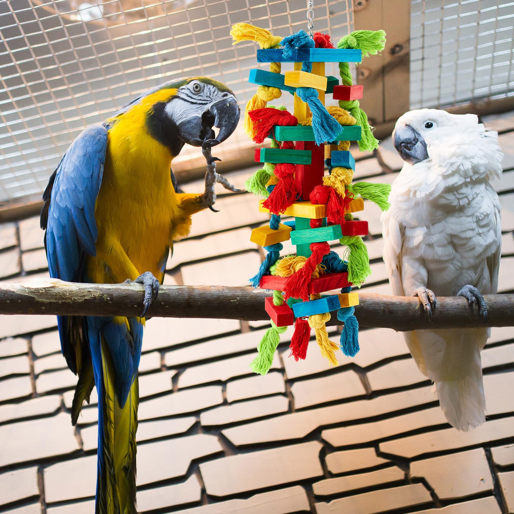 Seenelling juego multifuncional para aves coloridas, mantiene ocupada a la mascota.