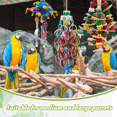 Seenelling juguete para loro grande con campanas sonoras para estimular juego.