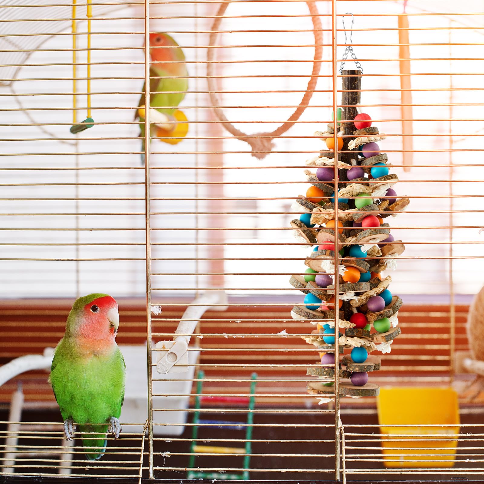 Seenelling regalo para dueños de loros, ideal para ampliar la jaula.