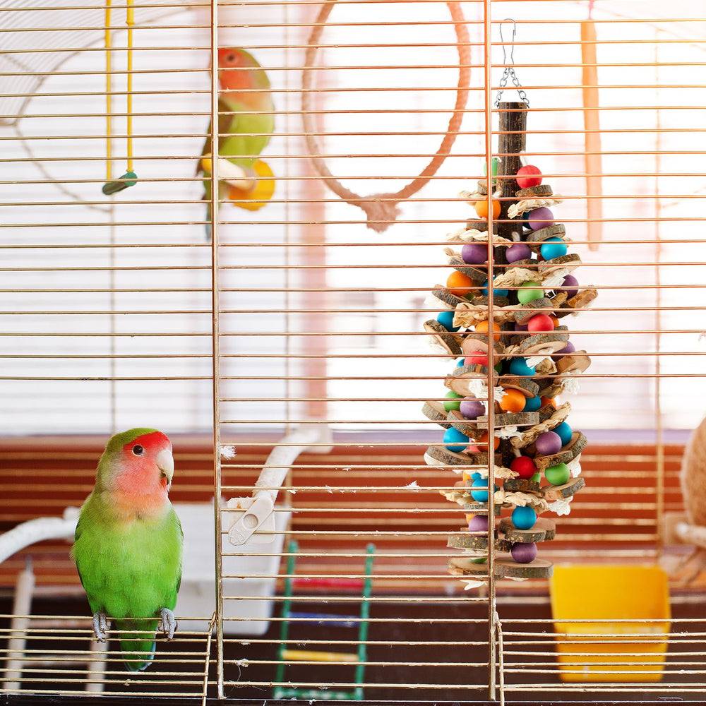 Seenelling regalo para dueños de loros, ideal para ampliar la jaula.