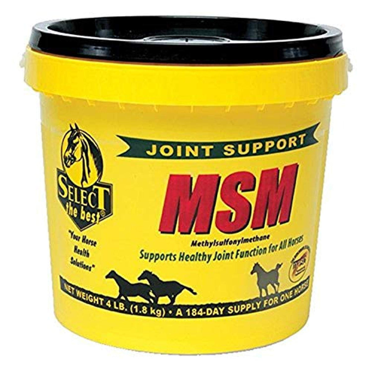 RICHDEL MSM polvo para articulaciones de caballo, posible apoyo a articulaciones y circulación.