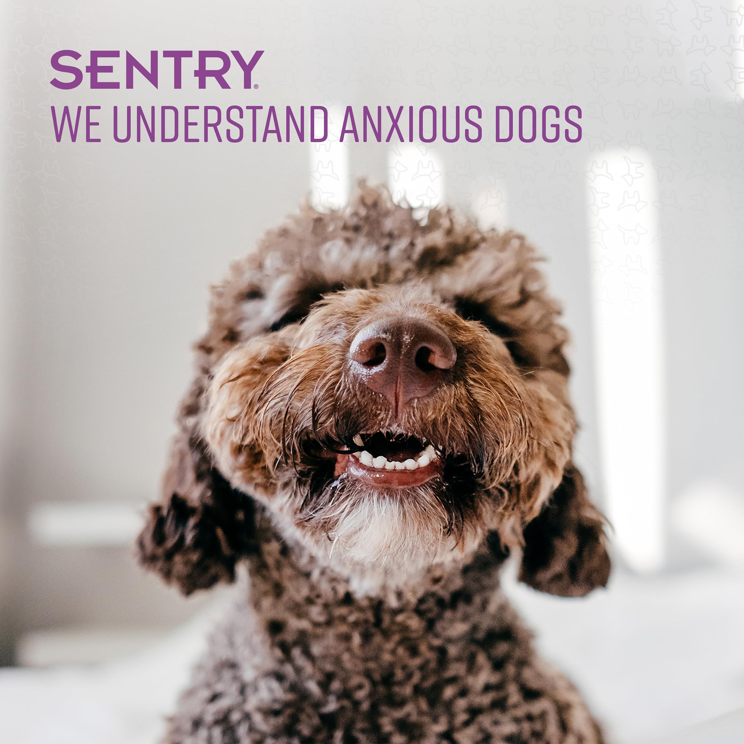 SENTRY Unguento calma y puede usarse junto a otros productos calmantes