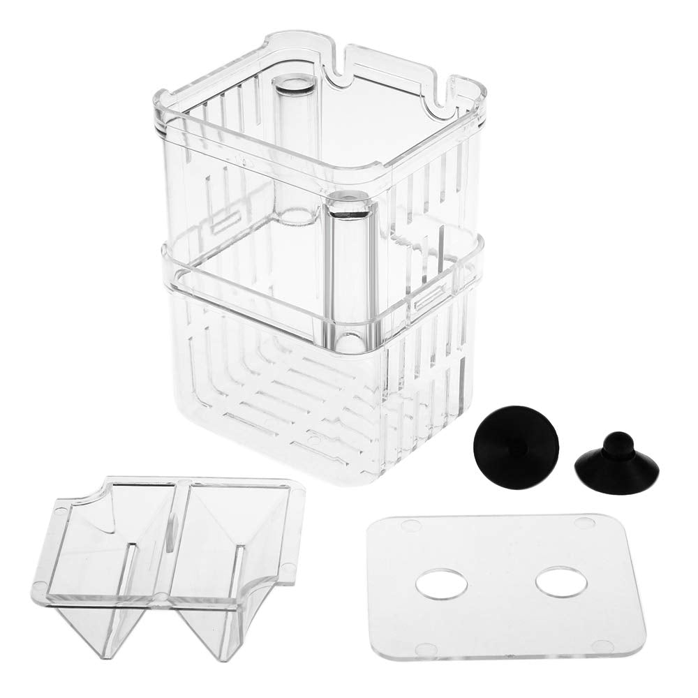 Senzeal caja criadora, vista inferior, diseño flotante transparente