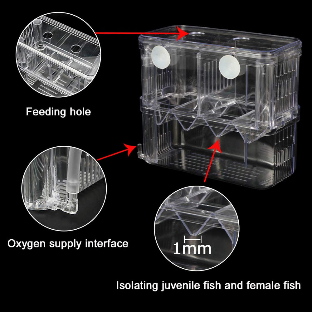 Caja de aislamiento con ventosas para fijación segura en el acuario Senzeal.