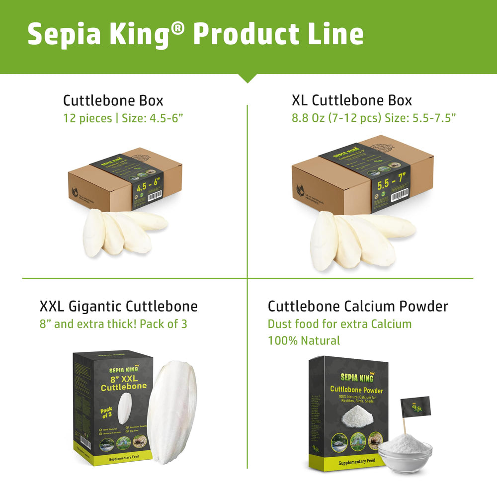 Sepia King, calcio natural para caracoles en su terrario.