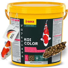 Pellets flotantes de Sera Koi Color que favorecen colores vivos y crecimiento equilibrado.