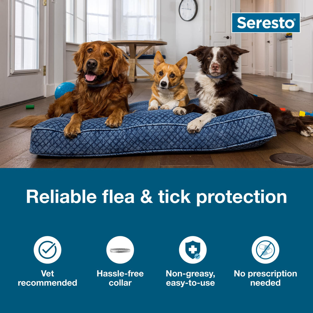 Seresto collar grande, cierre seguro, uso cómodo para perros activos.