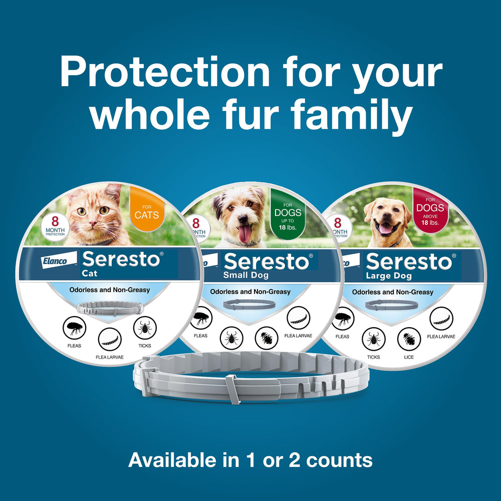 Seresto collar grande, uso en lluvia y juego, protección continua.